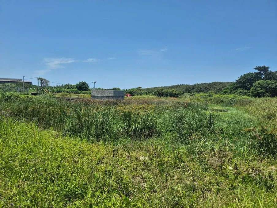 Water infrastructure clearing site, wide view
